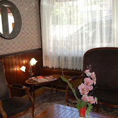 Hotel Alena Patinoire