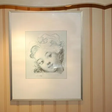 Alena Patinoire Hotel Grenoble